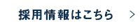採用情報はこちら