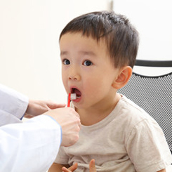 フッ素で歯質を強化